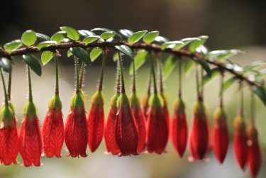 东莞塘厦私人快速借钱网，轻松解决资金难题