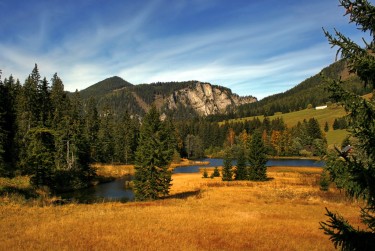 东莞塘厦民间私贷攻略：揭秘低成本借贷的秘密