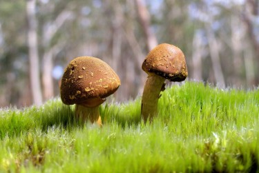 东莞塘厦私人老板放款：轻松融资的秘密通道